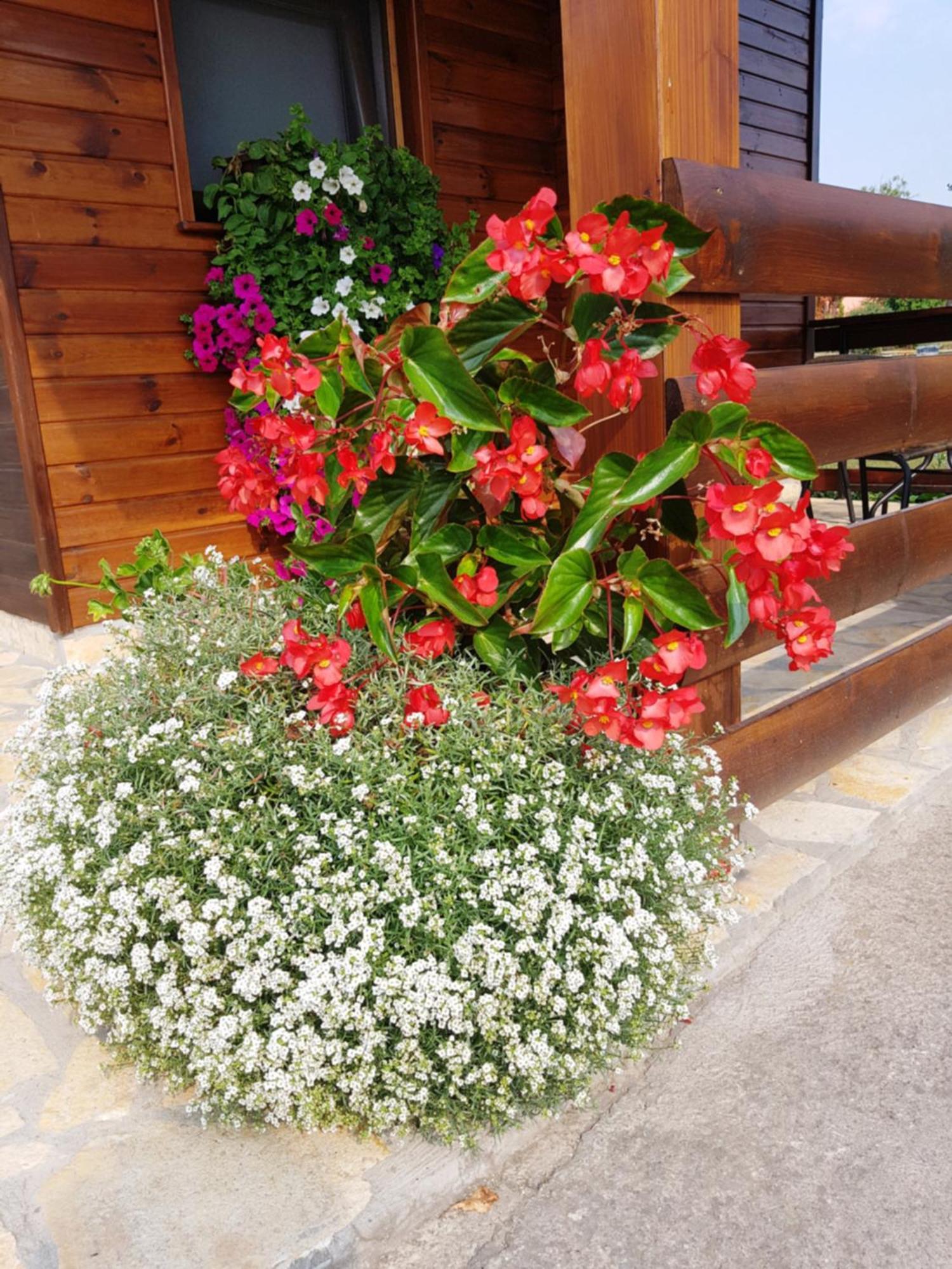 Apartments Sanja Rakovica Dış mekan fotoğraf